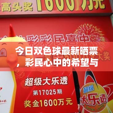 今日双色球最新晒票,彩民心中的希望与期待大揭秘!