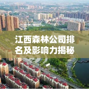 江西森林公司排名及影响力揭秘，行业巨头与生态力量共舞