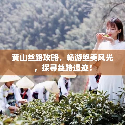 黄山丝路攻略，畅游绝美风光，探寻丝路遗迹！