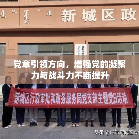 党章引领方向,增强党的凝聚力与战斗力不断提升