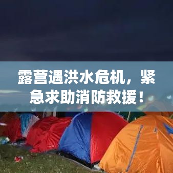 露营遇洪水危机，紧急求助消防救援！
