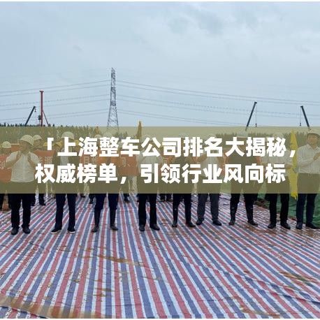 「上海整车公司排名大揭秘，权威榜单，引领行业风向标」