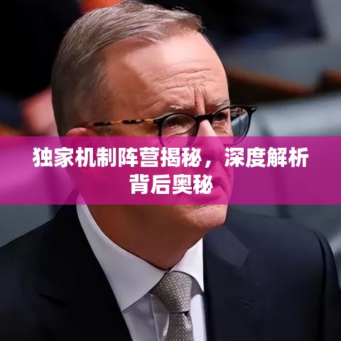 独家机制阵营揭秘，深度解析背后奥秘