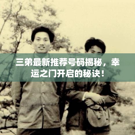 三弟最新推荐号码揭秘，幸运之门开启的秘诀！
