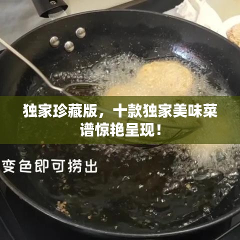 独家珍藏版，十款独家美味菜谱惊艳呈现！