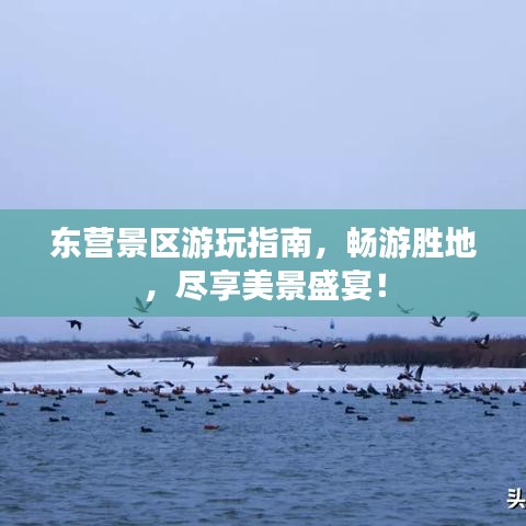 东营景区游玩指南,畅游胜地,尽享美景盛宴!