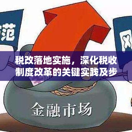 税改落地实施,深化税收制度改革的关键实践及步骤详解