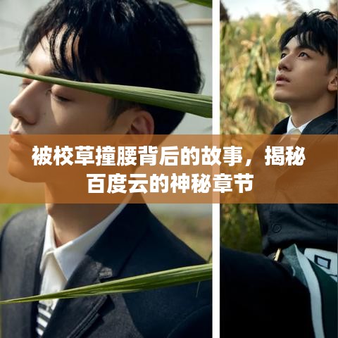 被校草撞腰背后的故事，揭秘百度云的神秘章节
