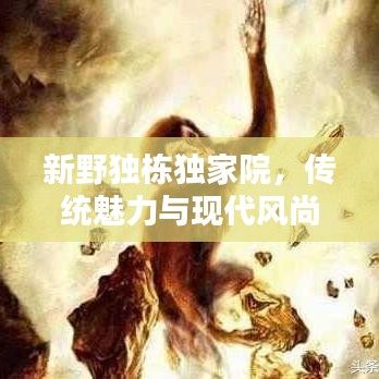 新野独栋独家院,传统魅力与现代风尚的和谐共融