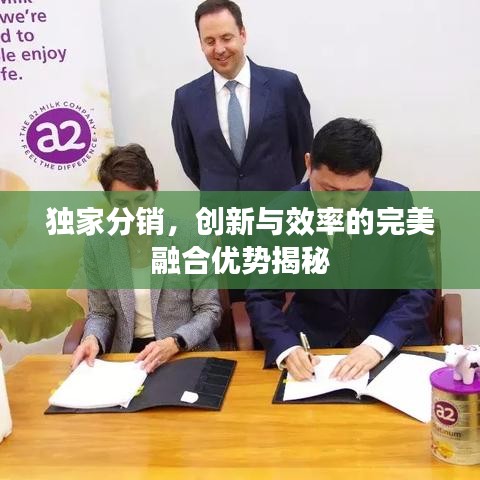 独家分销,创新与效率的完美融合优势揭秘