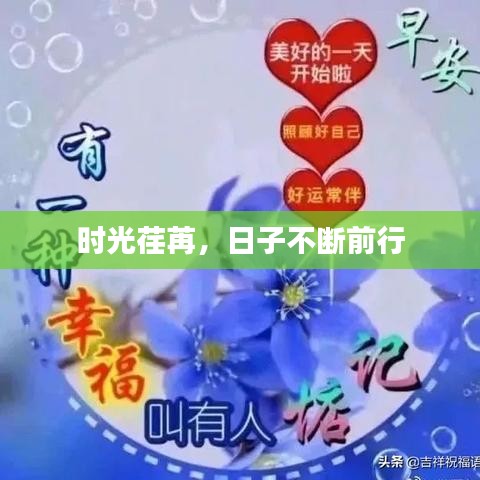 时光荏苒，日子不断前行