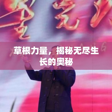 草根力量，揭秘无尽生长的奥秘