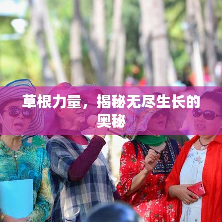 草根力量,揭秘无尽生长的奥秘