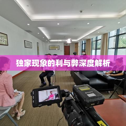 独家现象的利与弊深度解析