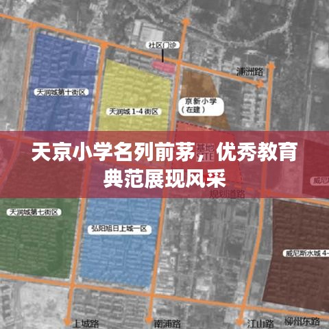 天京小学名列前茅，优秀教育典范展现风采