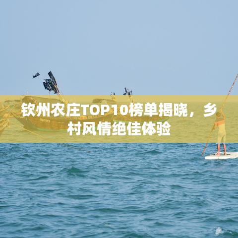 钦州农庄TOP10榜单揭晓,乡村风情绝佳体验