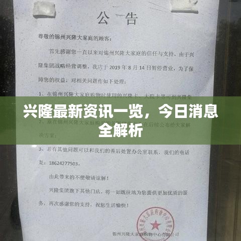 兴隆最新资讯一览，今日消息全解析