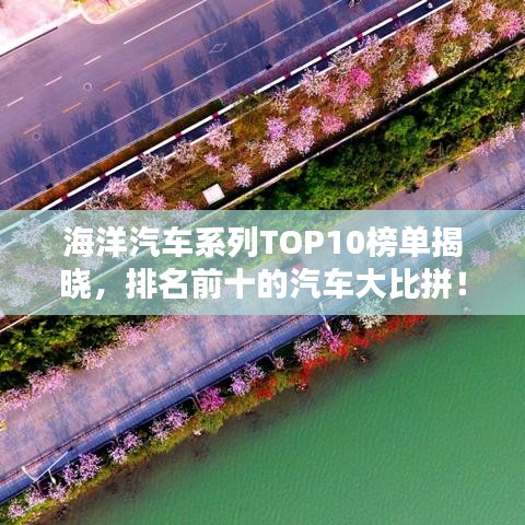 海洋汽车系列TOP10榜单揭晓，排名前十的汽车大比拼！