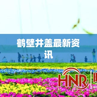 鹤壁井盖最新资讯