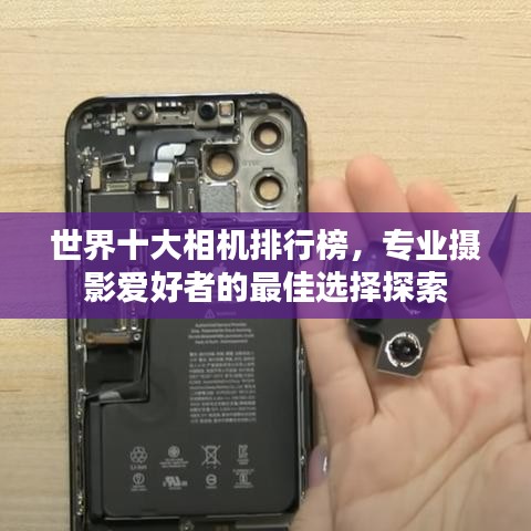 世界十大相机排行榜，专业摄影爱好者的最佳选择探索