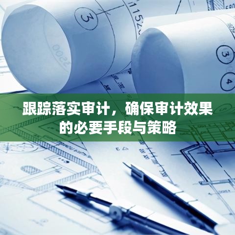 跟踪落实审计,确保审计效果的必要手段与策略