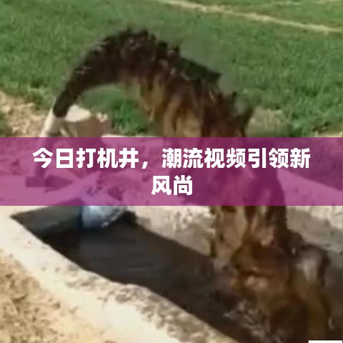 今日打机井，潮流视频引领新风尚