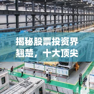 揭秘股票投资界翘楚，十大顶尖公司高手排名榜单！