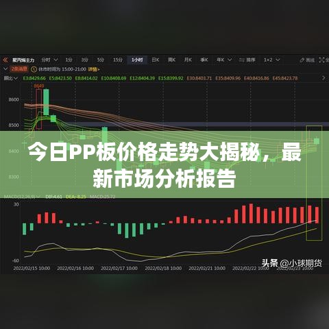 今日PP板价格走势大揭秘，最新市场分析报告