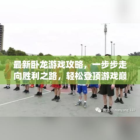 最新卧龙游戏攻略，一步步走向胜利之路，轻松登顶游戏巅峰！