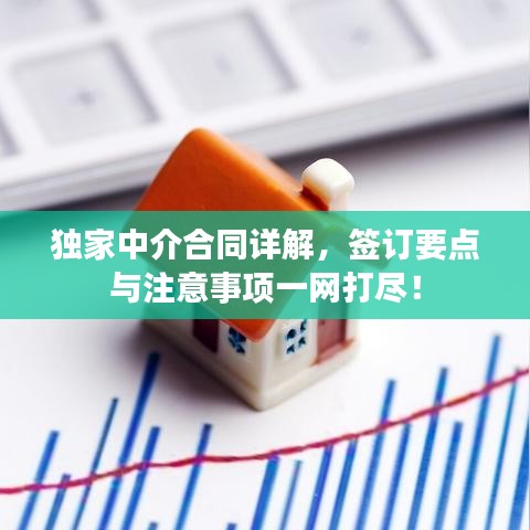 独家中介合同详解，签订要点与注意事项一网打尽！