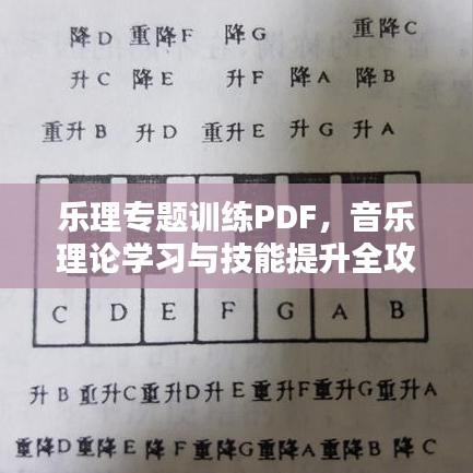 乐理专题训练PDF，音乐理论学习与技能提升全攻略