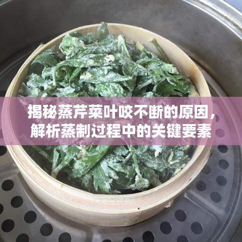 揭秘蒸芹菜叶咬不断的原因，解析蒸制过程中的关键要素