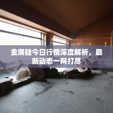 金属硅今日行情深度解析，最新动态一网打尽