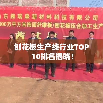 刨花板生产线行业TOP 10排名揭晓！