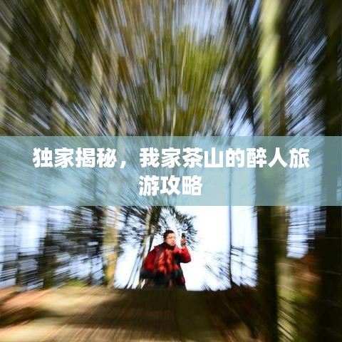独家揭秘，我家茶山的醉人旅游攻略