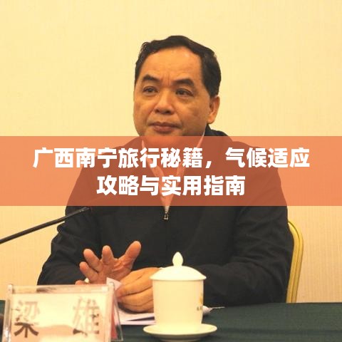 官方下载央视直播或正版凯立德激活码,最新研究解释定义&amp;8DM_v6.444