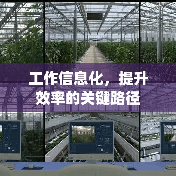 工作信息化，提升效率的关键路径