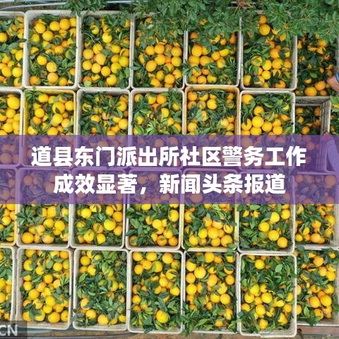 道县东门派出所社区警务工作成效显著，新闻头条报道