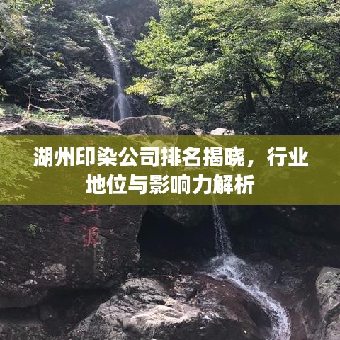 湖州印染公司排名揭晓，行业地位与影响力解析