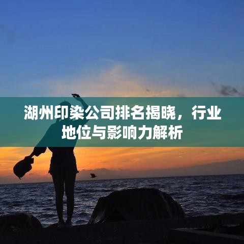 湖州印染公司排名揭晓,行业地位与影响力解析