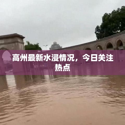 高州最新水浸情况，今日关注热点