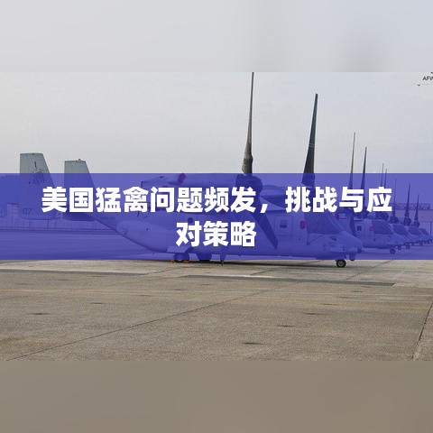 美国猛禽问题频发，挑战与应对策略