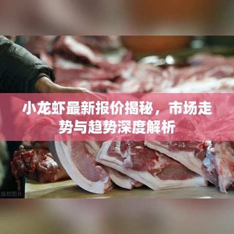 小龙虾最新报价揭秘，市场走势与趋势深度解析