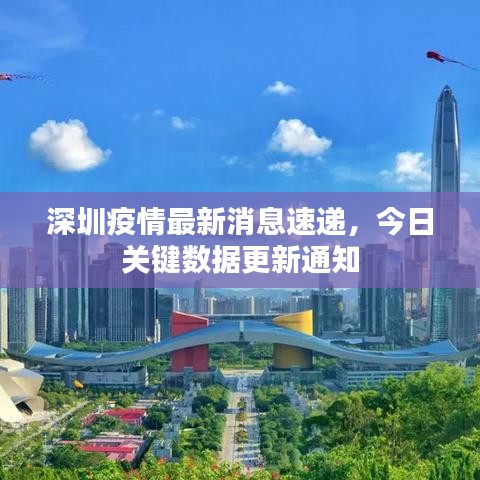 深圳疫情最新消息速递，今日关键数据更新通知