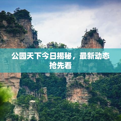 公园天下今日揭秘，最新动态抢先看