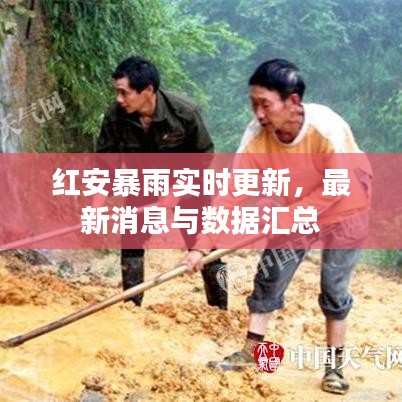 红安暴雨实时更新，最新消息与数据汇总