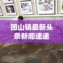 团山镇最新头条新闻速递