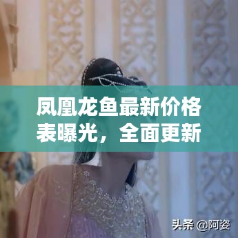 凤凰龙鱼最新价格表曝光，全面更新的价格信息汇总