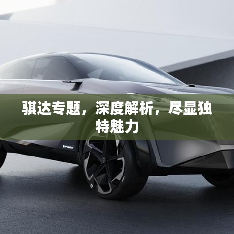 骐达专题，深度解析，尽显独特魅力