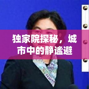 独家院探秘,城市中的静谧避风港